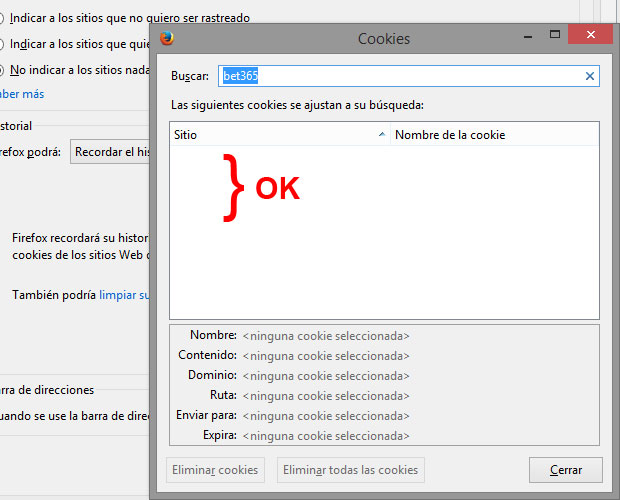 borrar-cookie-firefox-04.jpg